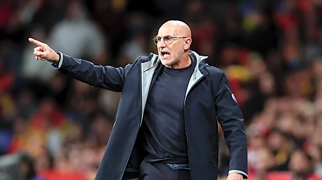 Luis de la Fuente has taken Spain back to the pinnacle