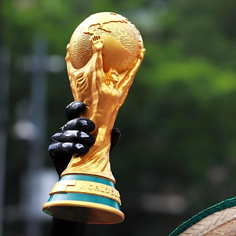 World Cup Reacts Survey