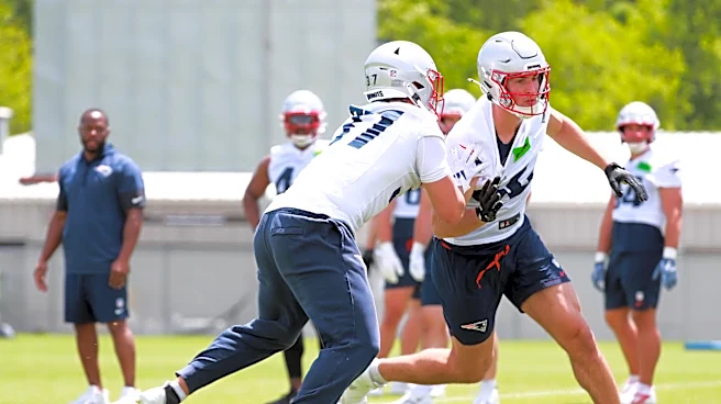 Mike Vrabel hints at Patriots adding more tight end depth
