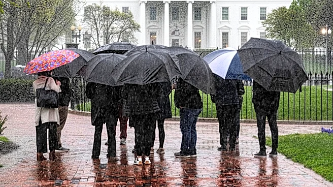 Rain or shine? UFC Freedom 250 weather-related contingency plans revealed (sorta)