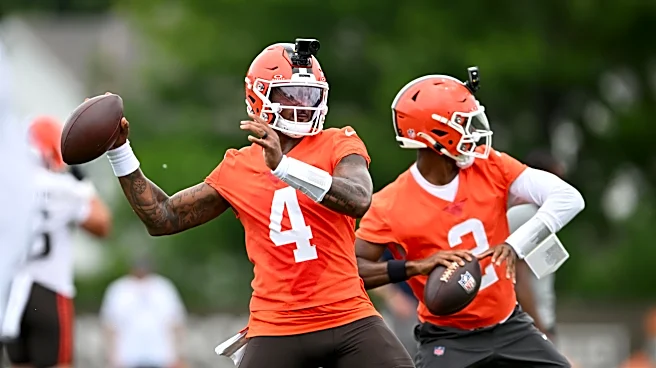 Daily Dawg Chow (6/11): What if opportunity knocks, but no one answers?