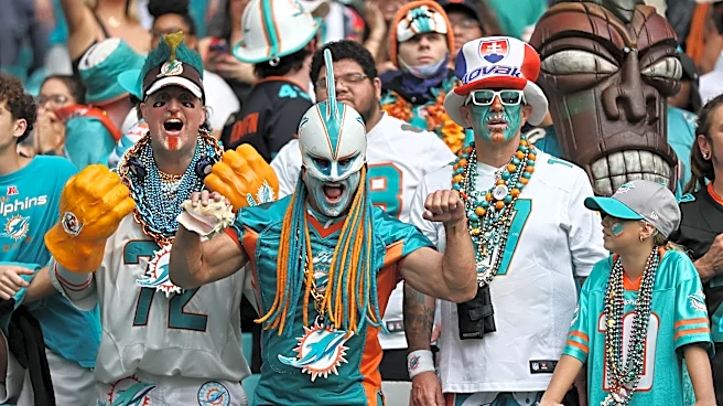 Miami Dolphins Fans On Attending A Game This Coming Season