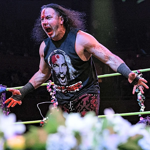 Hardys ladder match & more added to TNA Slammiversary PPV