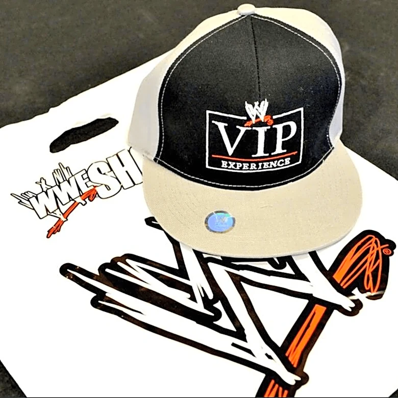 Daycare director pleads guilty to stealing millions of tuition dollars for WWE tickets and trips