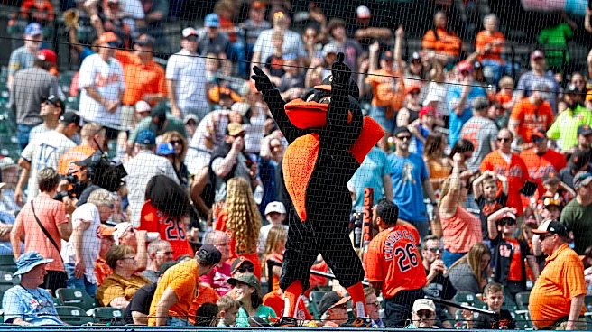 Orioles minor league recap 6/13: Irish homers in losing Keys effort