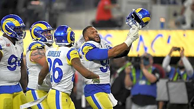 Is anything missing from Aaron Donald’s resume?