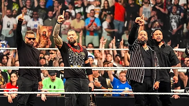 WWE Stock Report: Get ready for many more years of The Bloodline completely dominating WWE