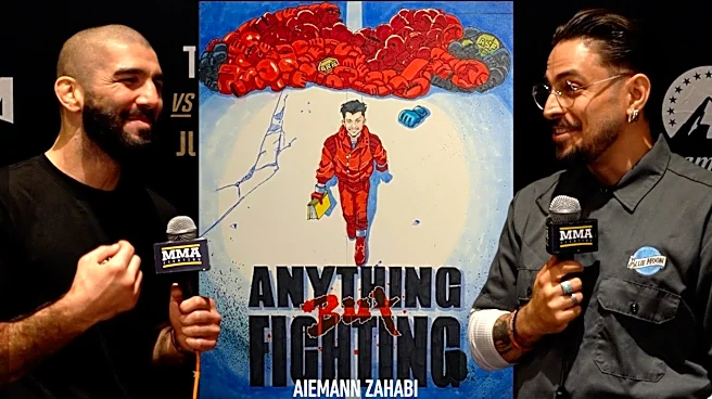 Anything but Fighting: Aiemann Zahabi loves Dragon Ball Z, Naruto