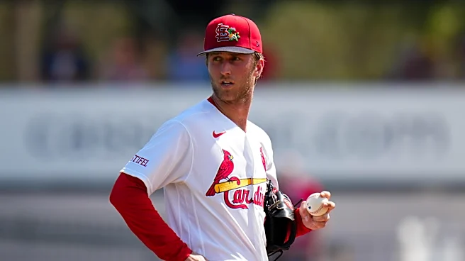 St. Louis Cardinals minor leaguers great at one stat (or more!)