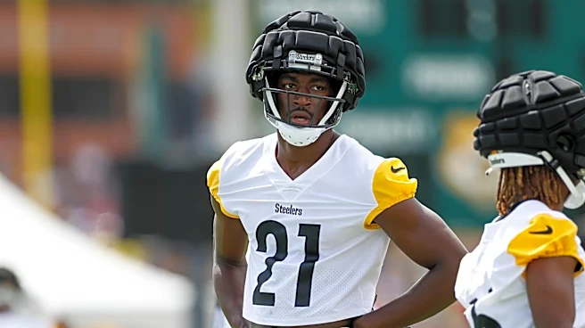 Former Steelers wide receiver signs with Broncos