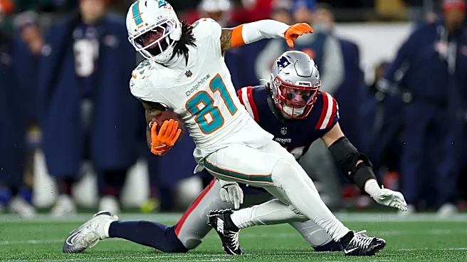Dolphins 90 in 90: Will Theo Wease Jr. continue growth in Miami offense?