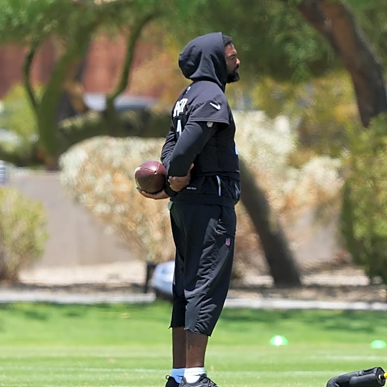 Arizona Cardinals fans think Jacoby Brissett deserves a slight increase