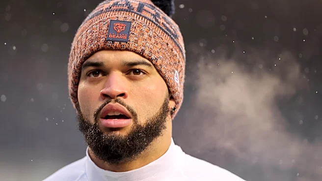 30 Day Challenge: Favorite Current Bears Player
