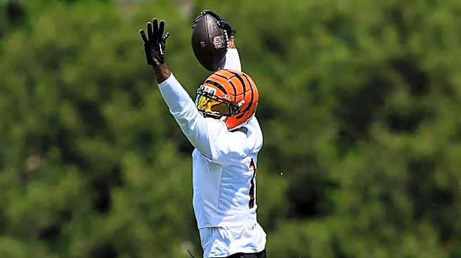 Bengals News (6/17): Mandatory minicamp begins