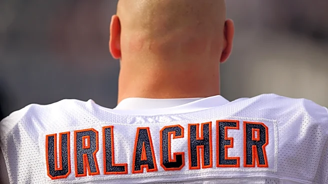 30 Day Challenge: Favorite Bears LB of All Time