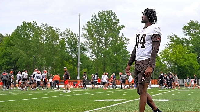 Daily Dawg Chow (6/19): Safeties, TEs, and a possible free agent WR