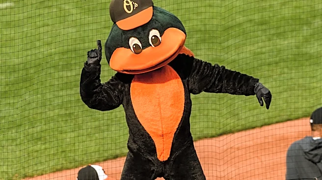 Orioles minor league recap 6/19: Shorebirds score 10 runs, still lose by 11