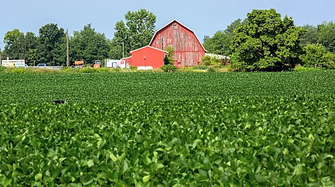 The Link Farm: 6.19.26
