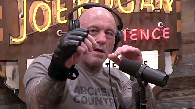 Trevor Wittman reveals UFC reached out about potentially using his glove design; Dana White responds