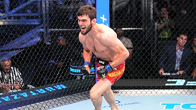 Rookie Report Card: Grading all Octagon newcomers UFC Vegas 119 post-mortem