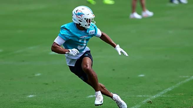 Dolphins Fans On Which New Defender Has Them The Most Hyped