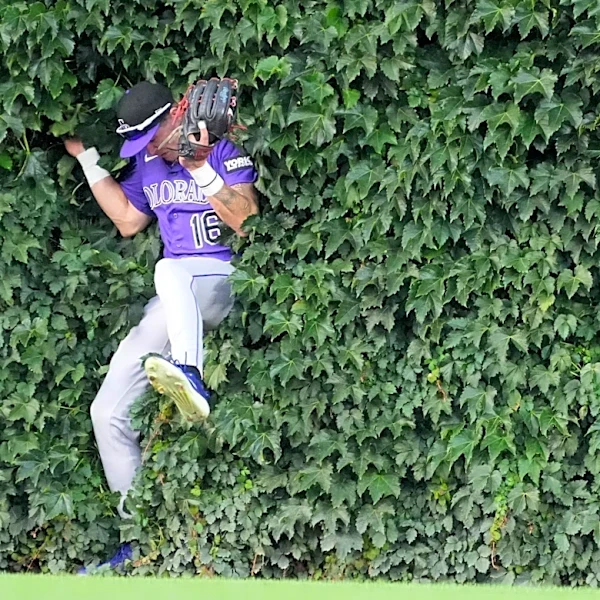 Purple Row After Dark: Which Colorado Rockie has most surprised you this season?