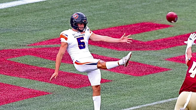 Cardinals work out two UFL players