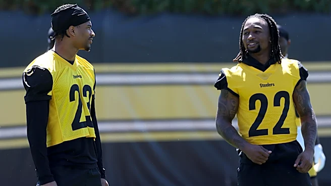 Steelers under the radar defender named big winner of offseason