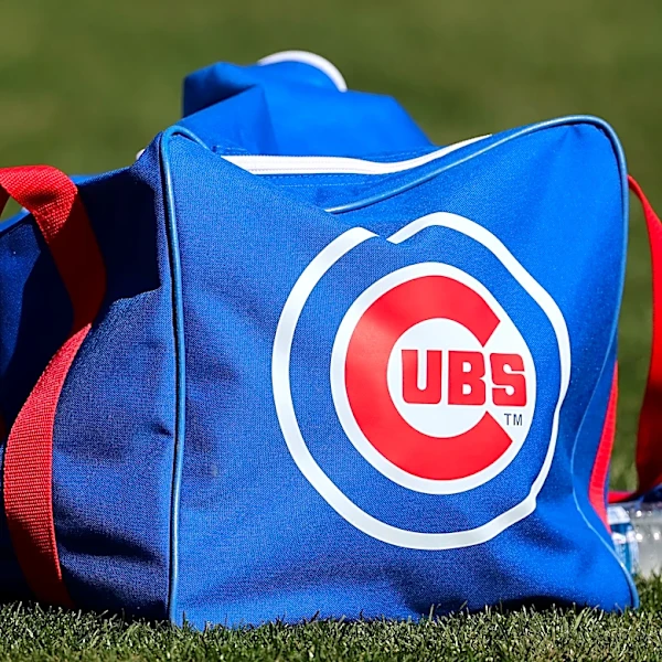 SB Nation Reacts survey: What do the Cubs need right now?