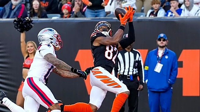Bengals News (6/24): Will Cincinnati have Patriots-like turnaround?
