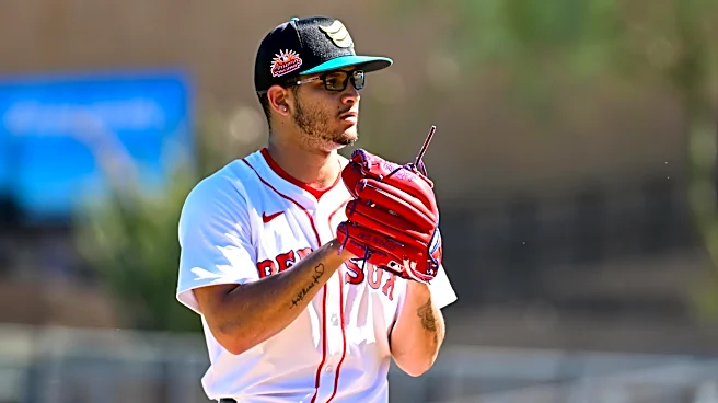 The Washington Nationals should convert Luis Perales into a reliever