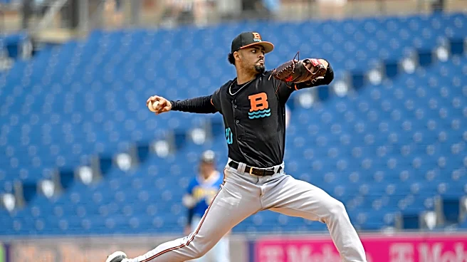 Orioles minor league recap 6/25: Watts-Brown dazzles in Baysox loss