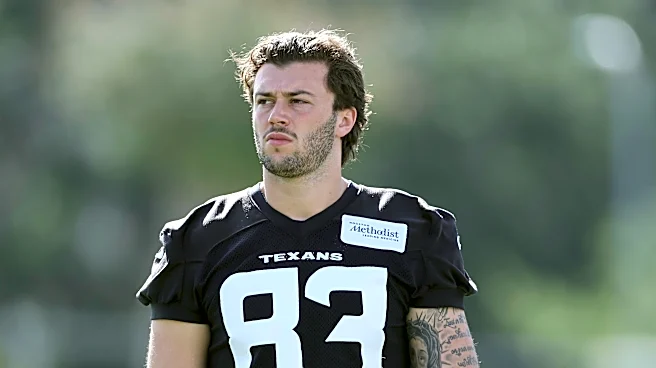 Houston Texans Tight End Room Analysis