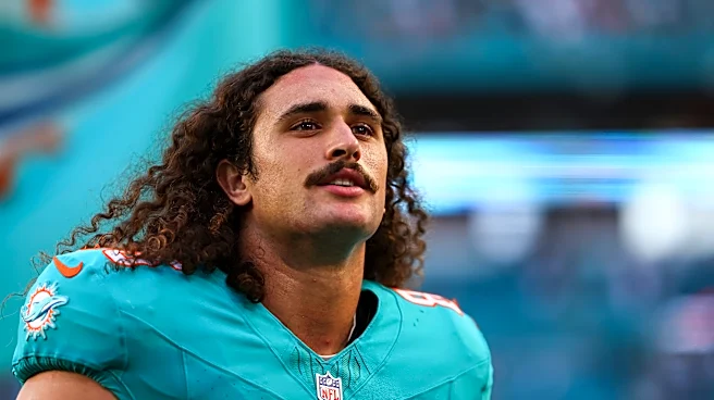 Miami Dolphins tight end Greg Dulcich growing game as role grows with team