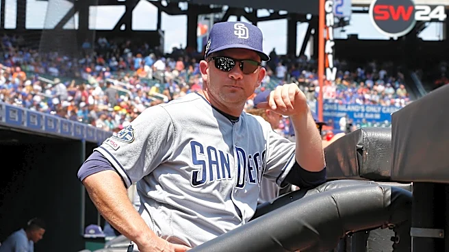 Getting to know Andy Green
