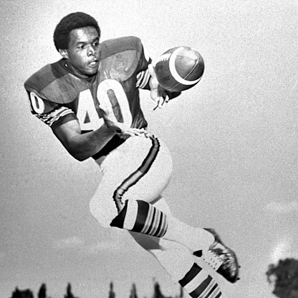My All-Time Chicago Bears Historical Team: The Bear Essentials
