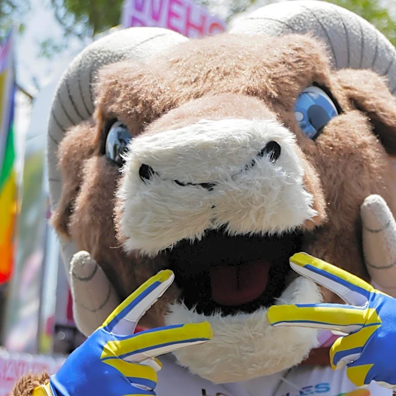L.A. Rams News: Seahawks are a team that exists