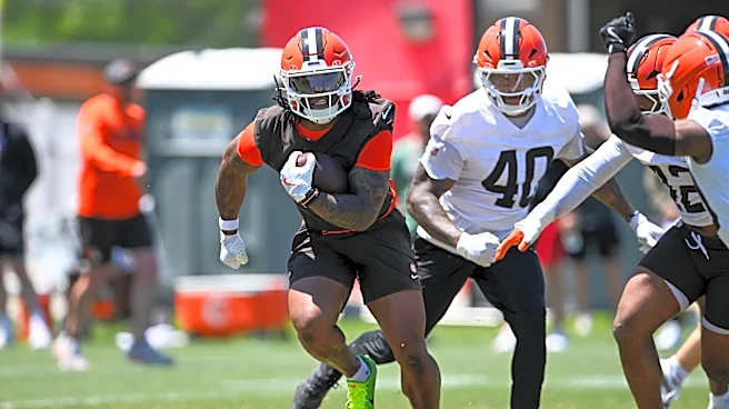Sunday Dawg Chow (6/28): New beginnings and low hopes