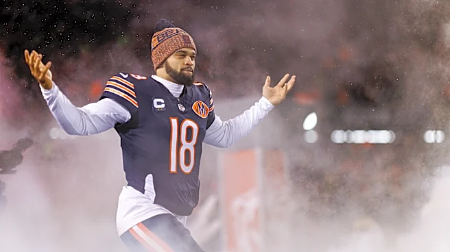My All-Time Historical Bears Team: The Blue Ridge Better Bests