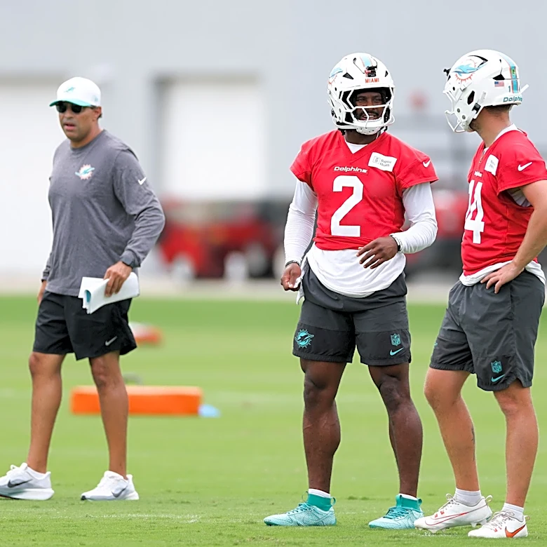 Dolphins Fans Take On Possible QB Competition