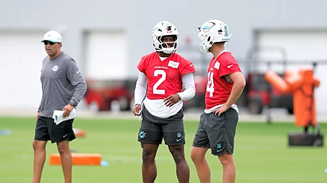 Dolphins Fans Take On Possible QB Competition