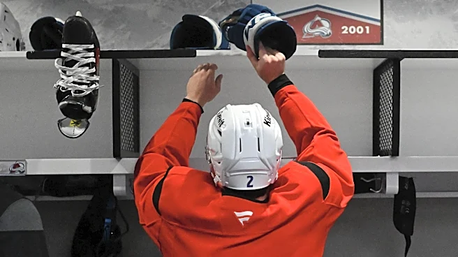 Avalanche Development Camp Preview
