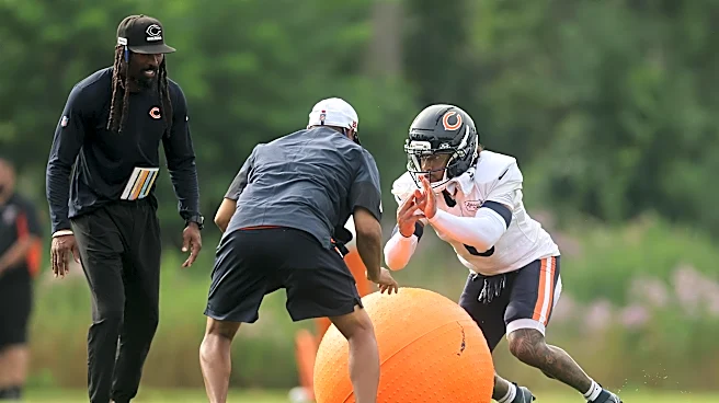 Who will lead the Chicago Bears in takeaways in 2026?