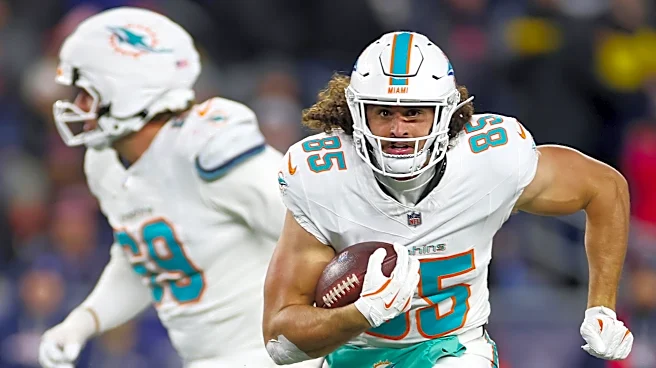 Miami Dolphins Discussion: The Greg Dulcich Edition