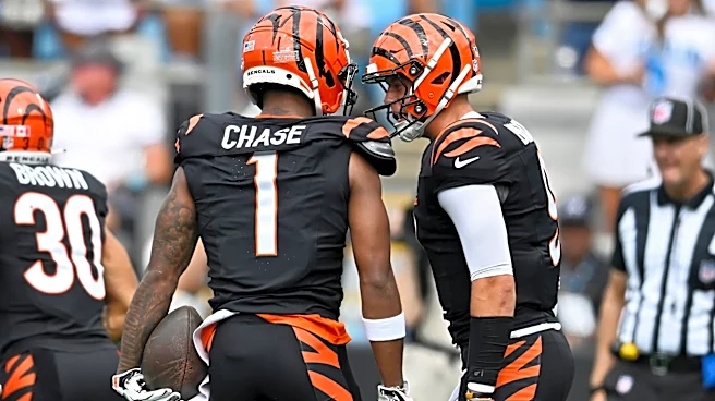 Bengals News (6/30): Preseason Player Rankings