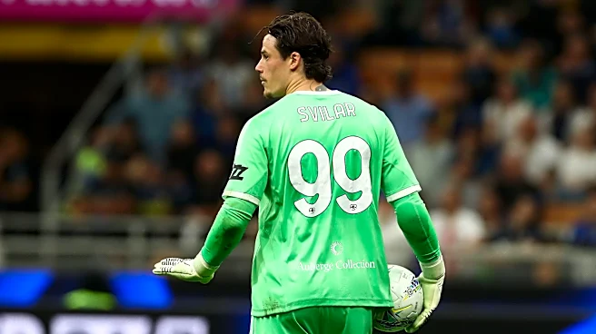 Report: Juventus make last minute offer for Svilar