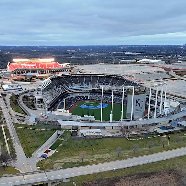 Royals Reacts Survey – The Blame Game