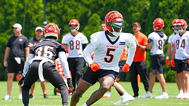 4 Bengals selected in NFL.com’s 7-round mock draft of active players
