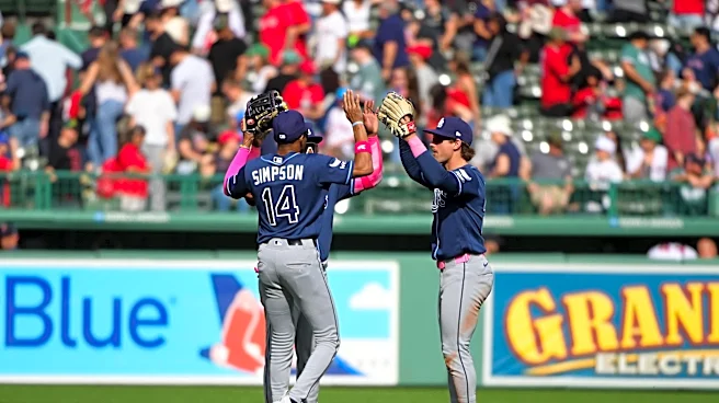 Rays Outfield Defense: Run first, ask questions later