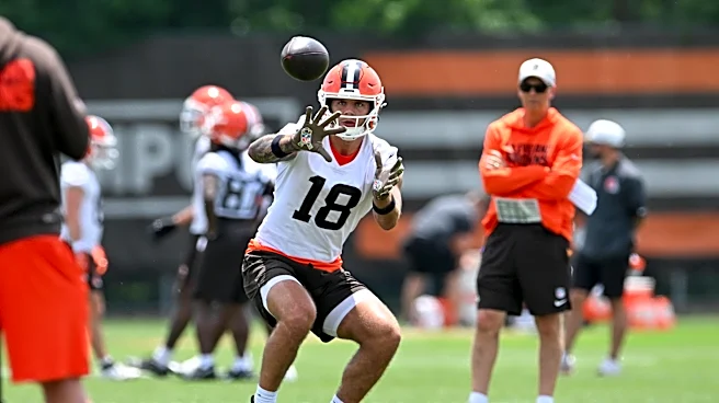 Sunday Dawg Chow (7/5): Fireworks and pondering the future